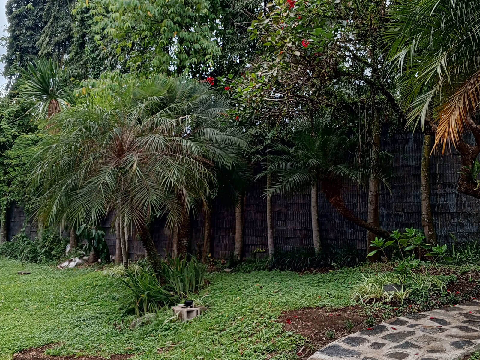 taman